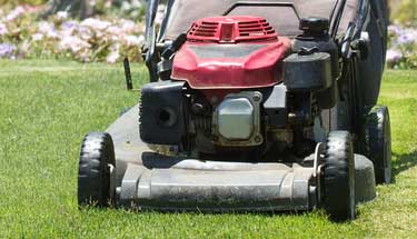 Mowing